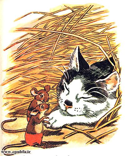 گربه خیلی ملوس و مهربان به نظر میرسید